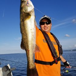 アマテラス 釣果