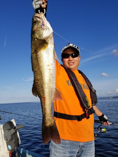 アマテラス 釣果