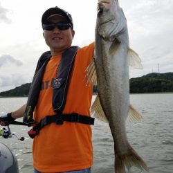 アマテラス 釣果