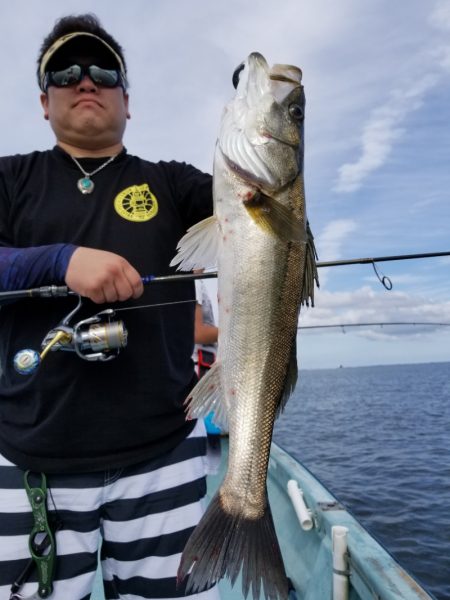 アマテラス 釣果