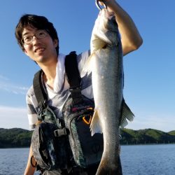 アマテラス 釣果