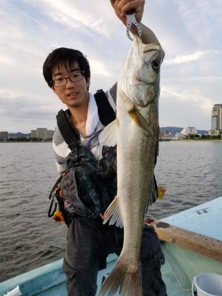 アマテラス 釣果