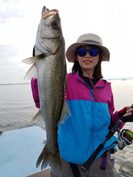 アマテラス 釣果