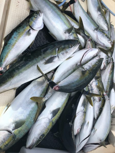 海友丸 釣果
