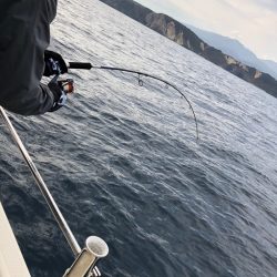 海友丸 釣果