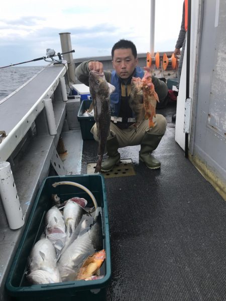 シーランチ 釣果