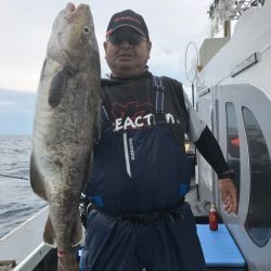 シーランチ 釣果