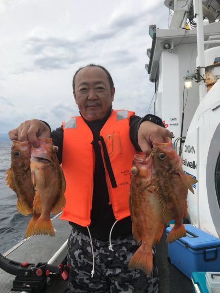 シーランチ 釣果