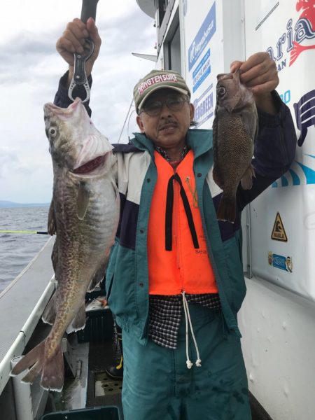 シーランチ 釣果