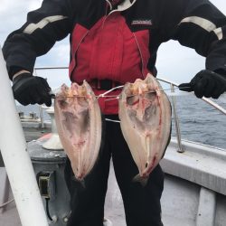 シーランチ 釣果