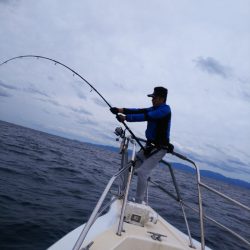 ブルドック 釣果