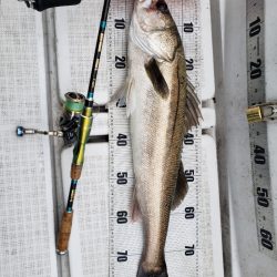 海龍丸（島根） 釣果