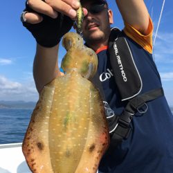 渡船屋たにぐち 釣果