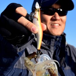 渡船屋たにぐち 釣果