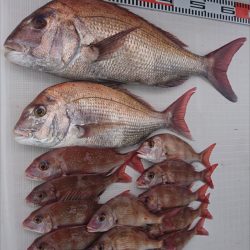 遊漁船 家入 釣果