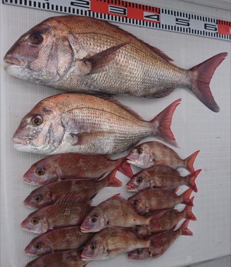 遊漁船 家入 釣果