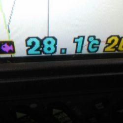 タイラバ遊漁船 ワンピース 釣果