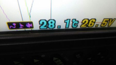 タイラバ遊漁船 ワンピース 釣果