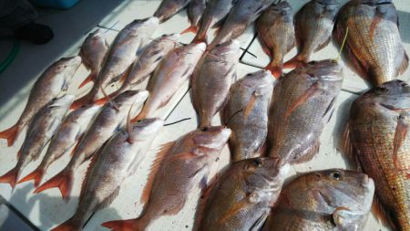 タイラバ遊漁船 ワンピース 釣果