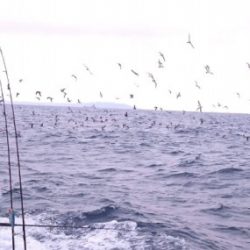 第三共栄丸 釣果