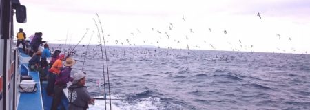 第三共栄丸 釣果