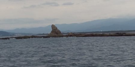 島きち丸 釣果