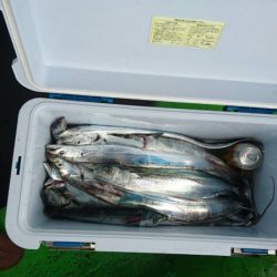 小島丸 釣果