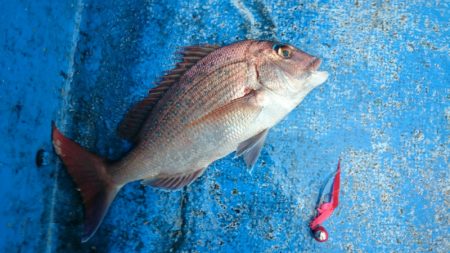 海龍丸（石川） 釣果