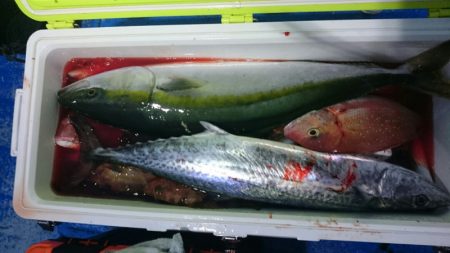 海龍丸（石川） 釣果