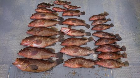 FISHING RISKY 釣果