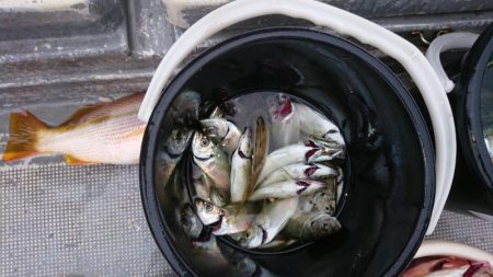 FISHING RISKY 釣果