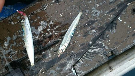 海龍丸（石川） 釣果