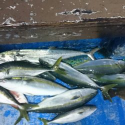 海龍丸（石川） 釣果