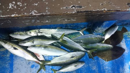 海龍丸（石川） 釣果