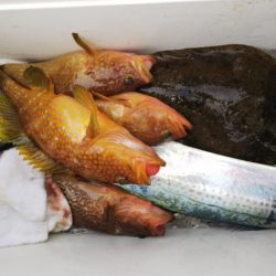 第二龍勢丸 釣果