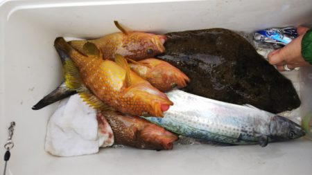 第二龍勢丸 釣果