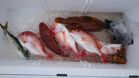 海龍丸（石川） 釣果