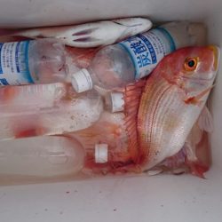 海龍丸（石川） 釣果