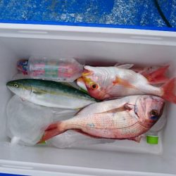 海龍丸（石川） 釣果