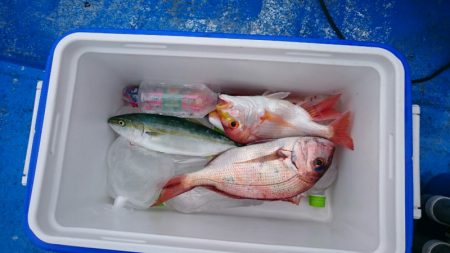 海龍丸（石川） 釣果