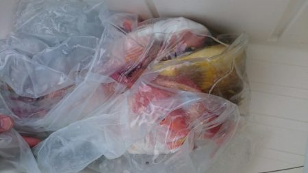 海龍丸（石川） 釣果