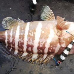 第二龍勢丸 釣果