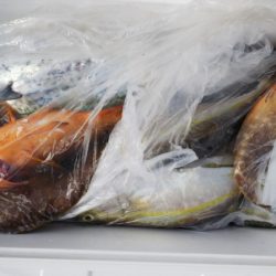 第二龍勢丸 釣果