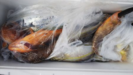 第二龍勢丸 釣果