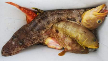 第二龍勢丸 釣果