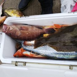 第二龍勢丸 釣果