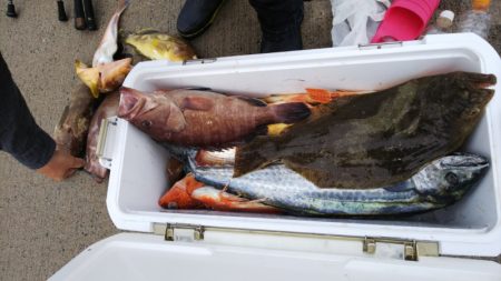 第二龍勢丸 釣果