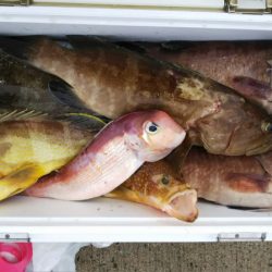 第二龍勢丸 釣果