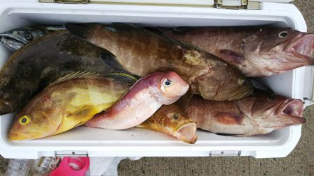 第二龍勢丸 釣果