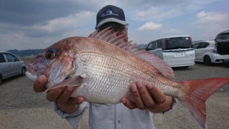 第三共栄丸 釣果